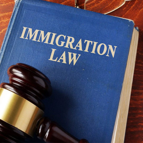 Immigration Services